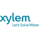 Xylem